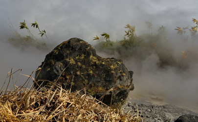 Similar image 22323651