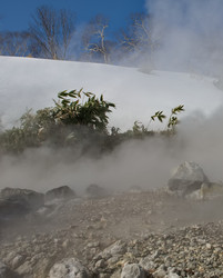 Similar image 22323653