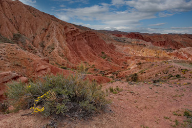 Similar image 22323656