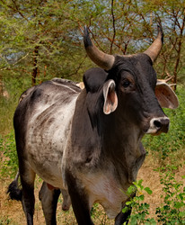 Similar image 22323662