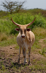 Similar image 22323663