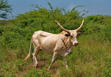 Similar image 22323664