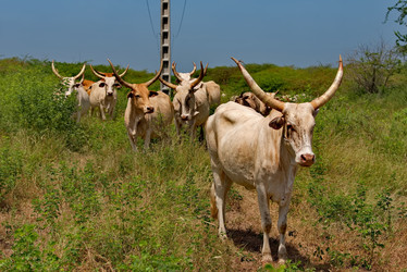 Similar image 22323665