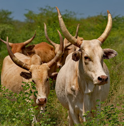 Similar image 22323666