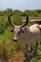 Similar image 22323667