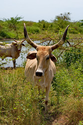 Similar image 22323668