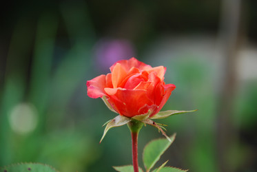 Similar image 22318676