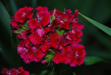 Similar image 22318677