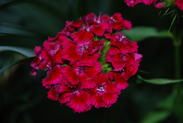 Similar image 22318678