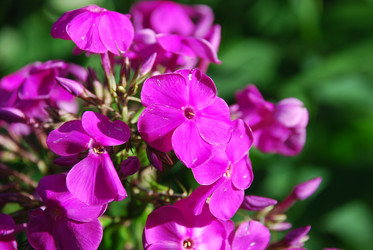 Similar image 22318679