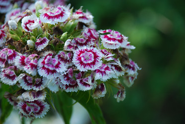 Similar image 22318680