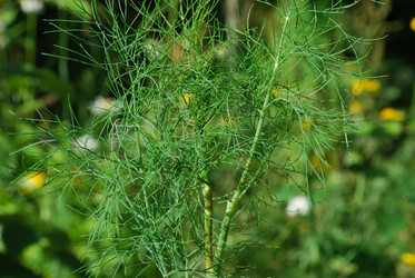 Similar image 22318681