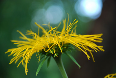 Similar image 22318682