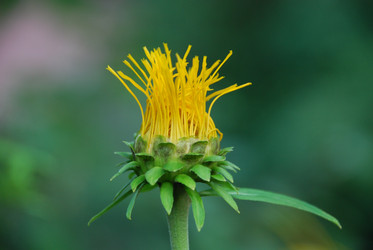 Similar image 22318683