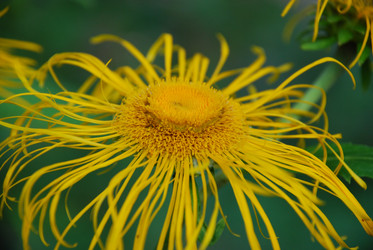 Similar image 22318684