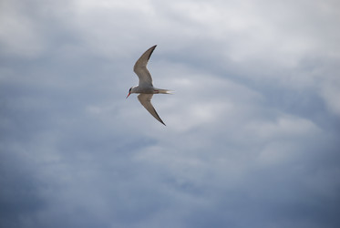 Similar image 22318686