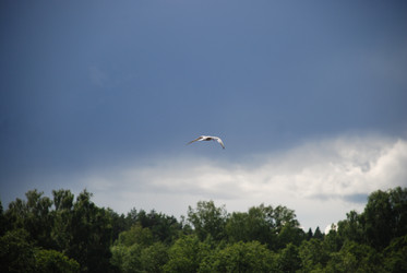 Similar image 22318687