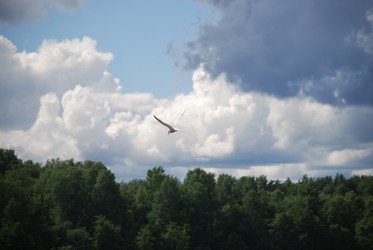 Similar image 22318696