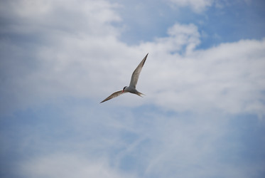 Similar image 22318697