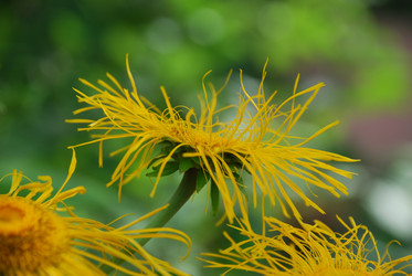 Similar image 22318704