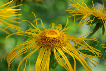 Similar image 22318705