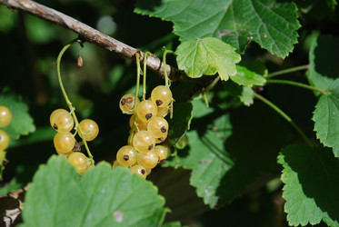 Similar image 22318706