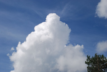 Similar image 22318707