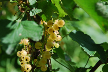 Similar image 22318710