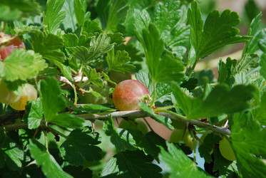 Similar image 22318712