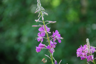 Similar image 22318713