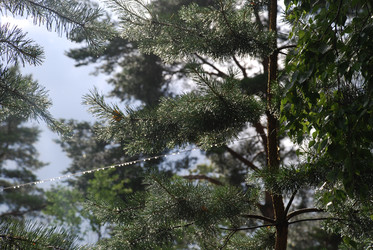 Similar image 22318719