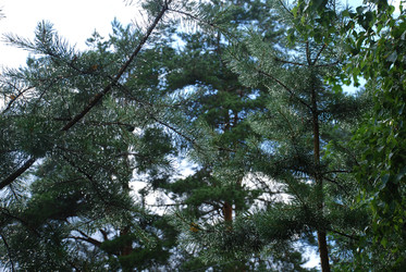 Similar image 22318721