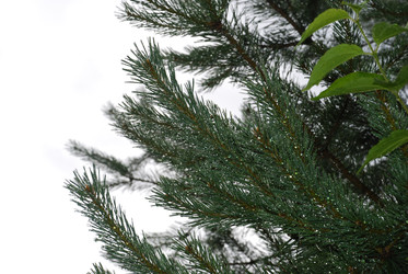 Similar image 22318723