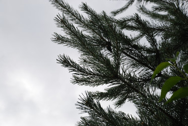 Similar image 22318724