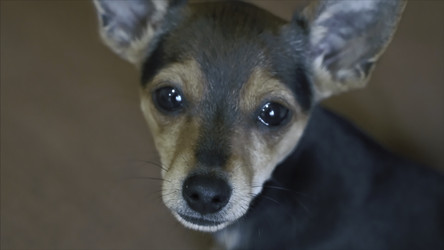 Similar image 22325584