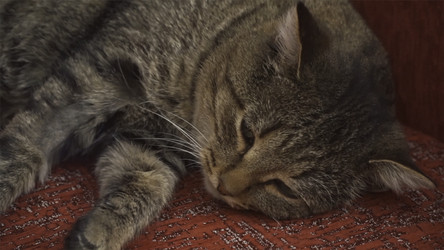 Similar image 22325603