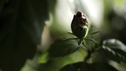 Similar image 22326157