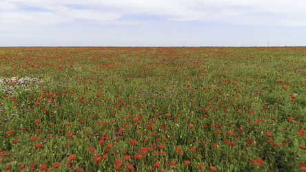 Similar image 22326158