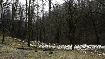 Similar image 22326159