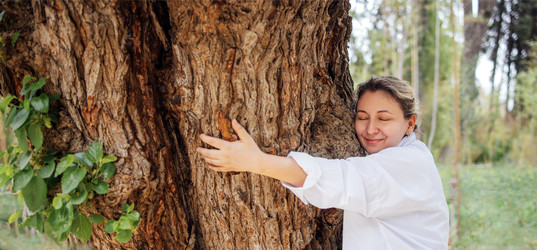 Similar image 22321271