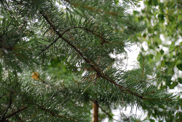 Similar image 22318725