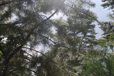 Similar image 22318726