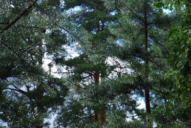 Similar image 22318728