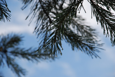 Similar image 22318729