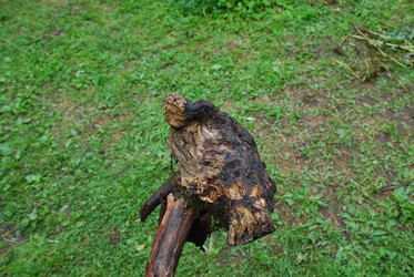 Similar image 22318731