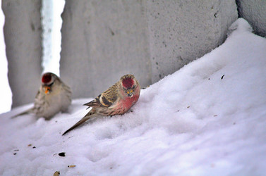 Similar image 22318485