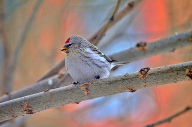 Similar image 22318486