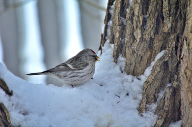 Similar image 22318487