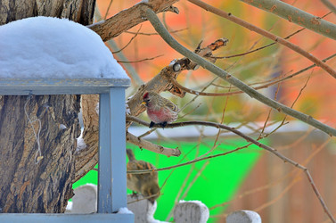 Similar image 22318488