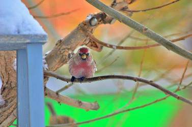 Similar image 22318489